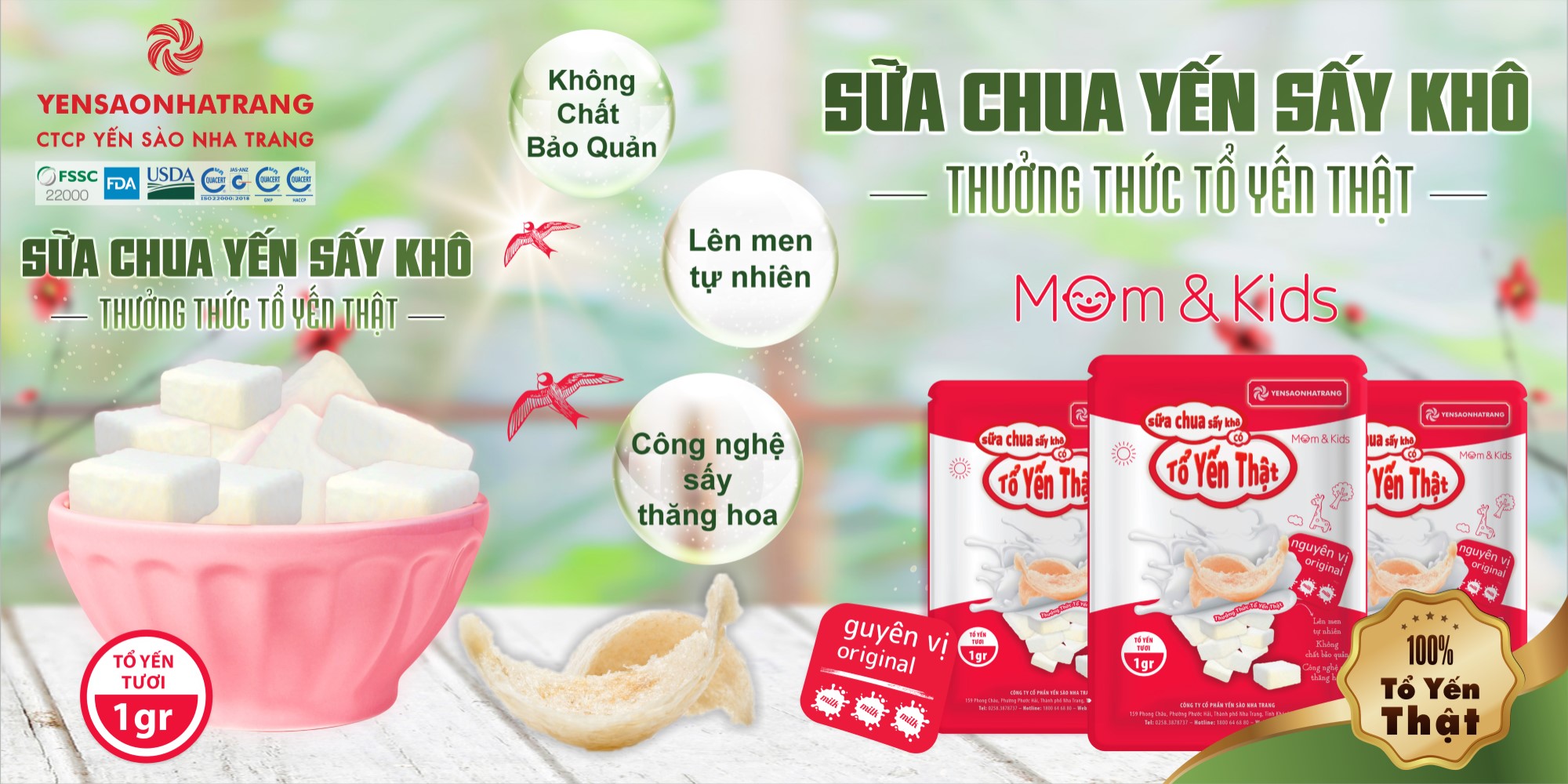 sữa chua sấy khô yến sào