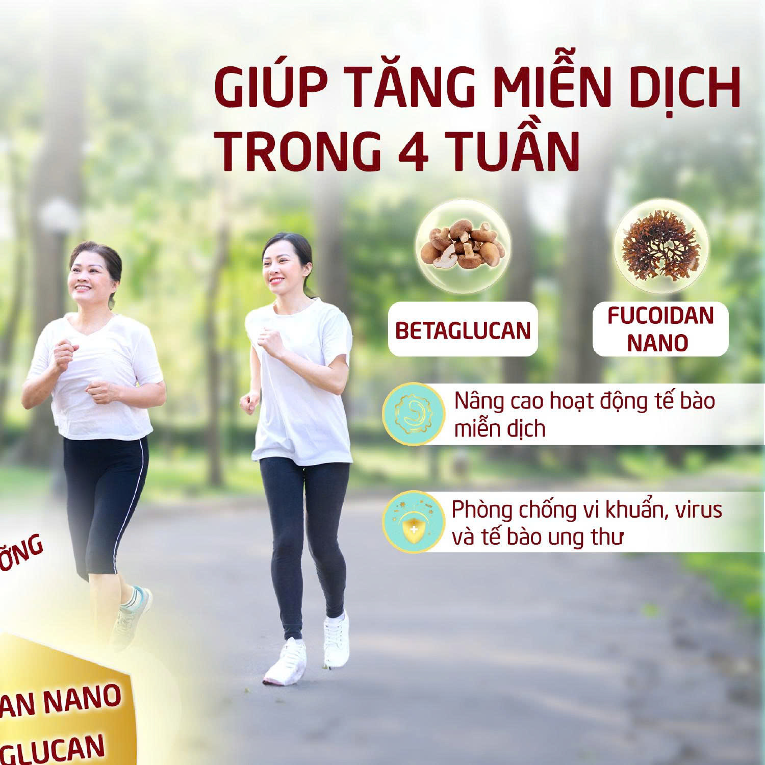 nutri nano Fucoidan 1900mg giúp tăng miễn dịch trong 4 tuần